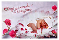 папка «Свидетельство о рождении» Младенец в цветке